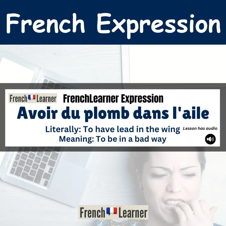 Avoir du plombe dans l'aile - to be in a bad way