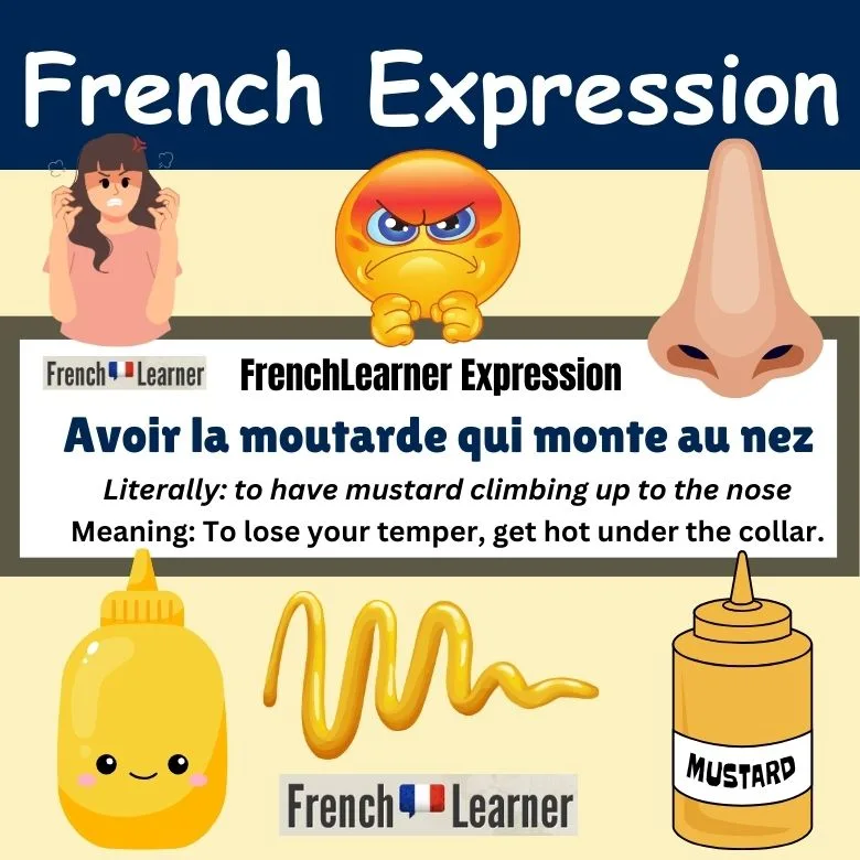 Avoir la moutarde qui monte au nez - French expression meaning to lose your temper.