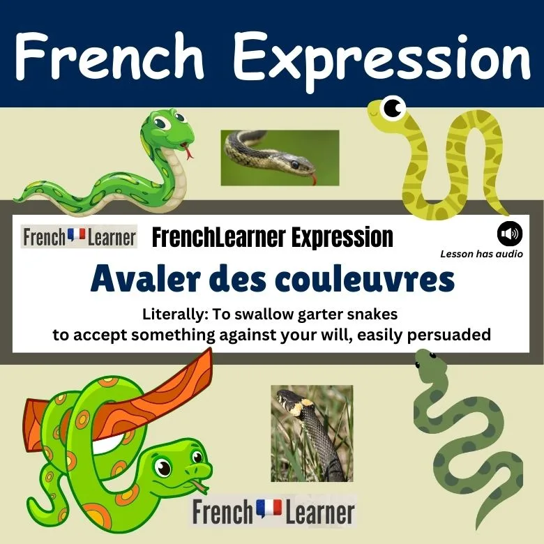 Avaler des couleuvres - to accept something against your will