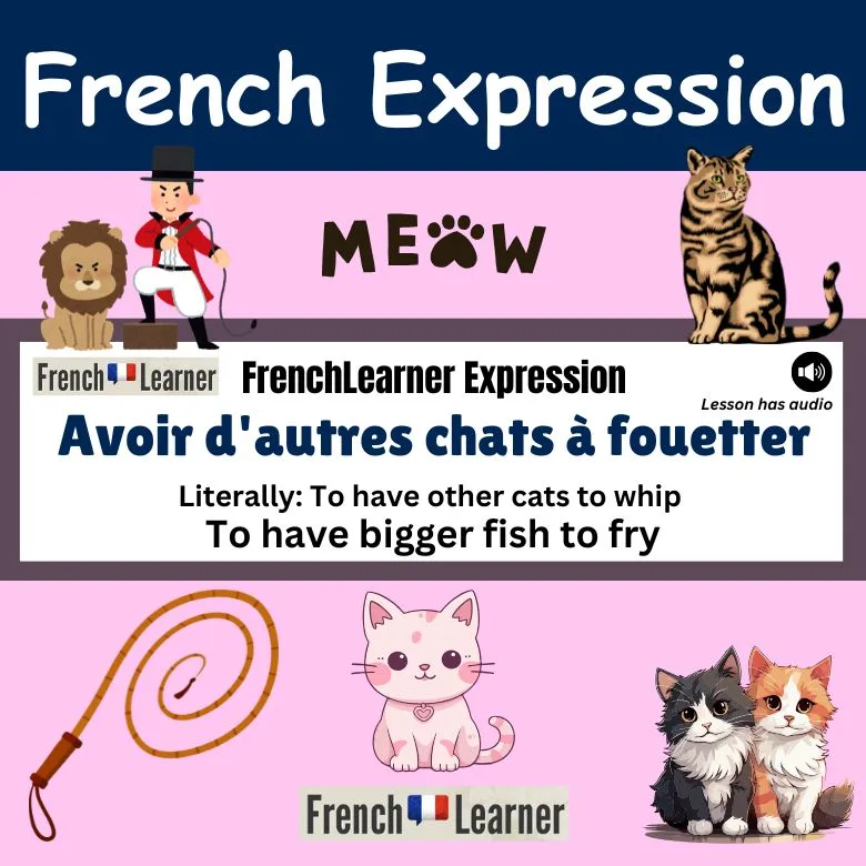 Avoir d'autres chats &agrave; fouetter - French expression meaning To have bigger fish to fry.