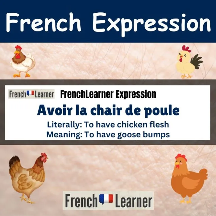 Avoir la chair de poule (To have goose bumps)