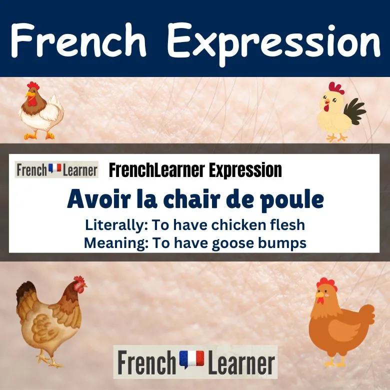 Avoir la chair de poule - to have goose bumps