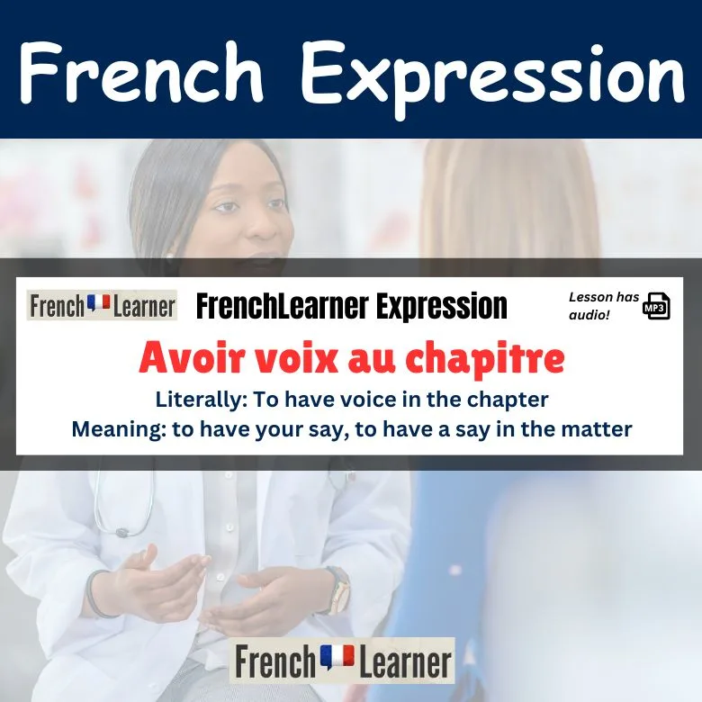 Avoir voix au chapitre - To have your say, to have a say in the matter