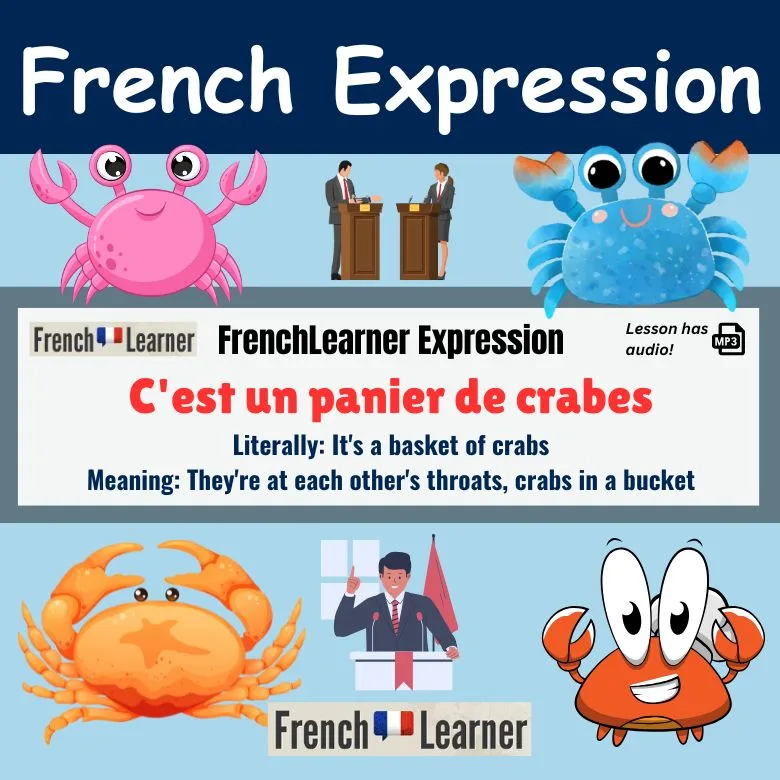 C'est un panier de crabes - French idiom meaning: They're at each other's throats, crabs in a bucket.