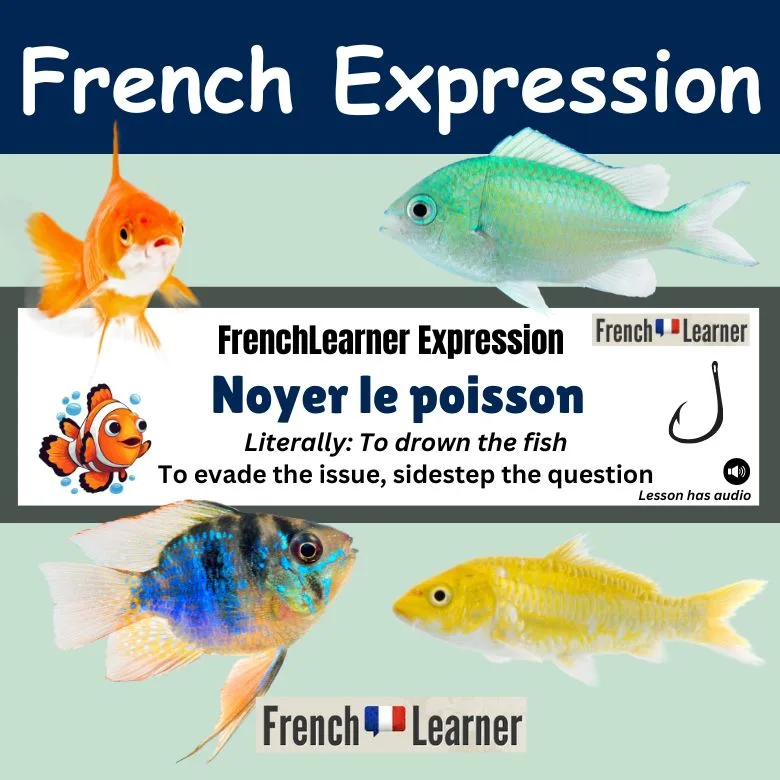 Noyer le poisson (to drown the fish) - French idiom - To sidestep the question, evade the issue.