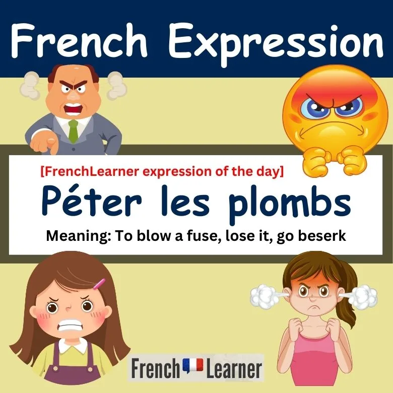 FrenchLearner expression of the day: P&eacute;ter les plombs (to blow a fuse, lose it, go berserk.