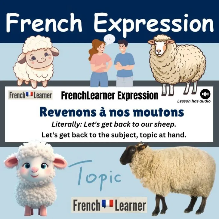 Revenons &agrave; nos moutons (Let&rsquo;s get back to the subject)