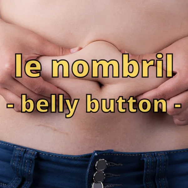 "Le nombril" means "belly button"