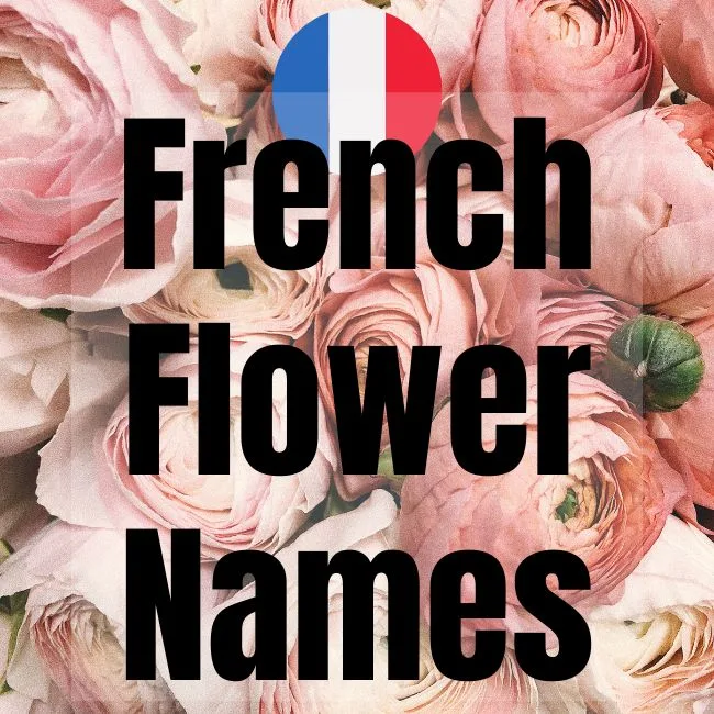Flower Names
