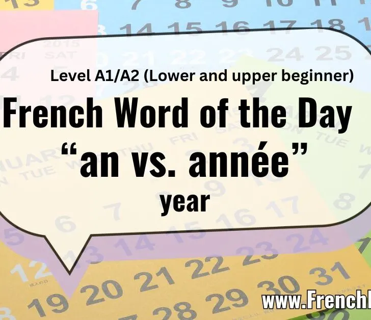 An vs. Ann&eacute;e: Understanding &ldquo;Year&rdquo; in French