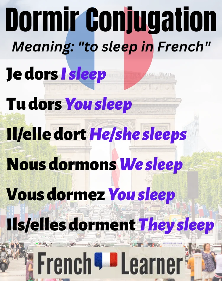 Conjugate &ldquo;Dormir&rdquo; in French: All Forms & Meanings Explained