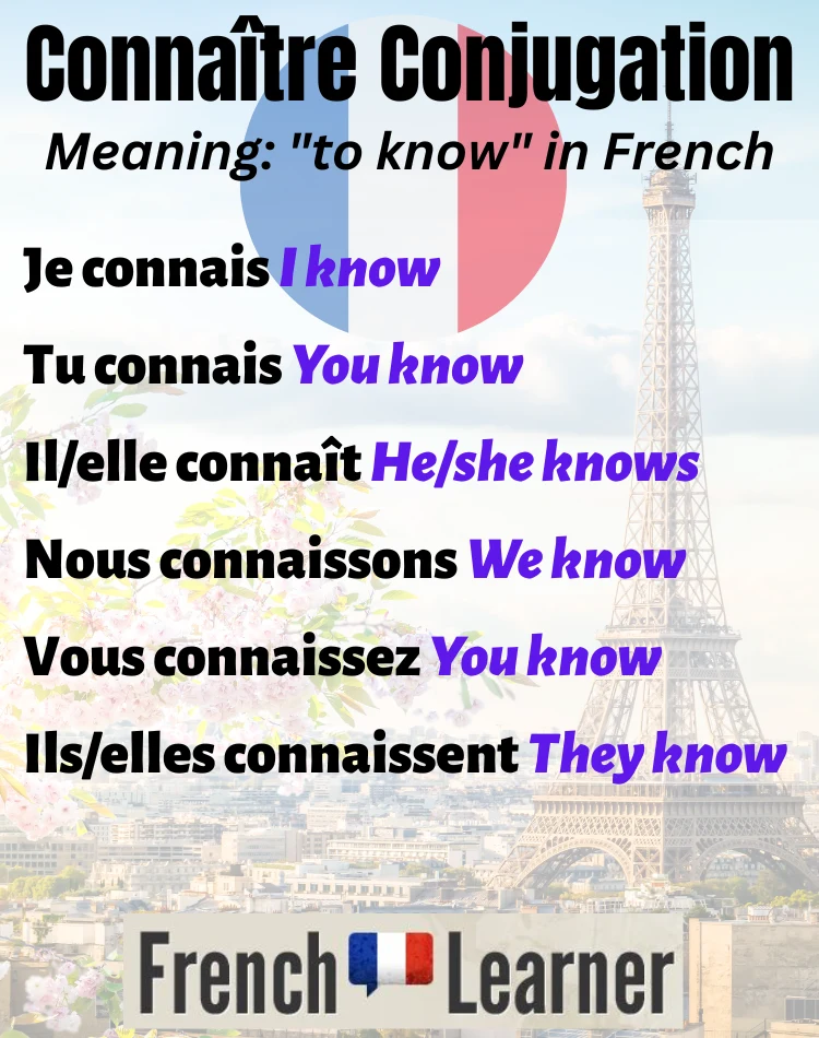 Conna&icirc;tre Conjugation in French: All Forms & Meanings Explained