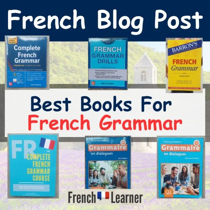 Best French Grammar Books