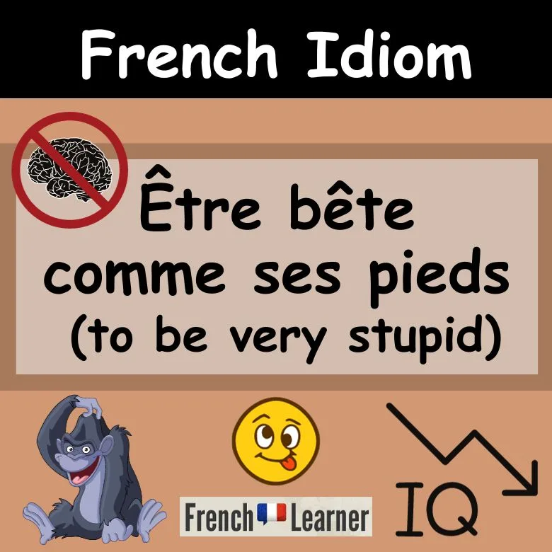 French Idiom: &Ecirc;tre b&ecirc;te comme ses pieds (to be very stupid)