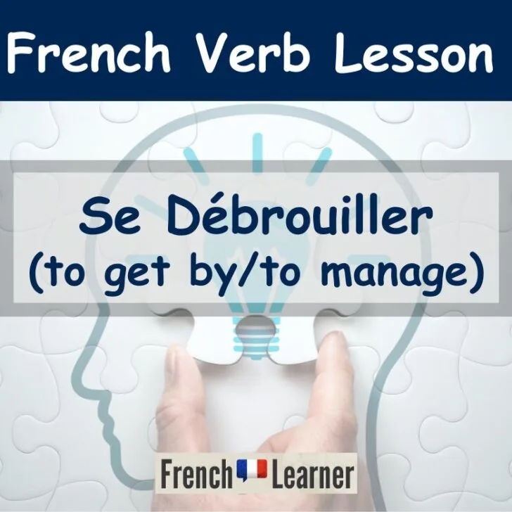 French Word of the Day: Se d&eacute;brouiller (To get by, to manage)