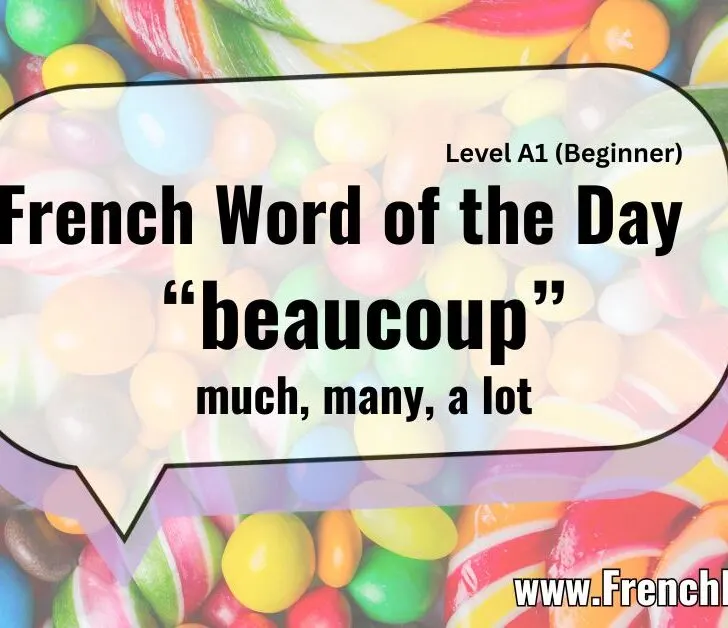 Master &ldquo;Beaucoup&rdquo; (Much / Many / A Lot) In French