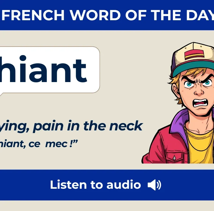 Chiant &mdash; Meaning, Pronunciation, and Examples in French