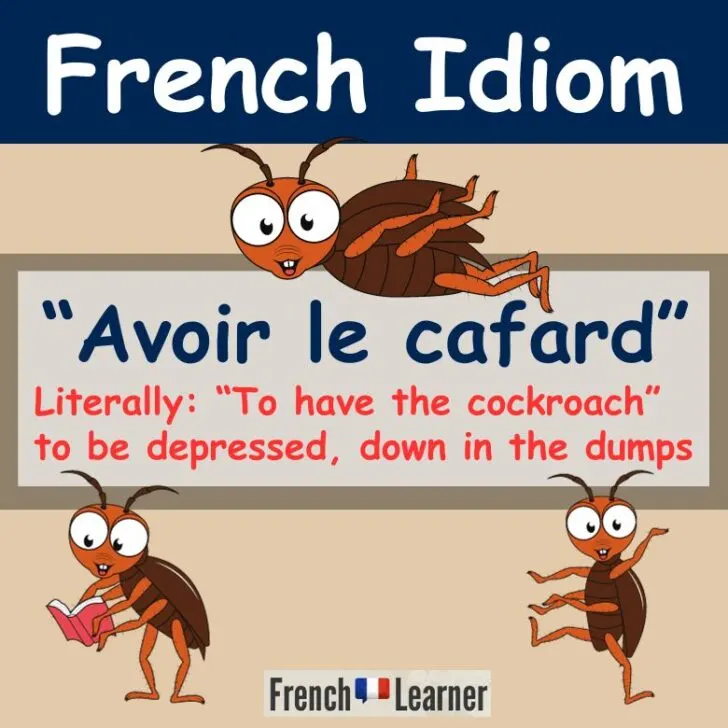 Avoir le cafard (To be depressed)