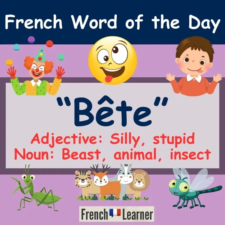 B&ecirc;te = Silly, stupid, animal, beast or insect in French.