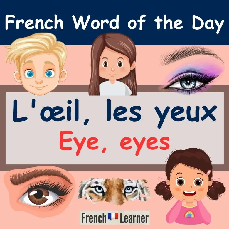 L'&oelig;il, les yeux = eye/eyes in French