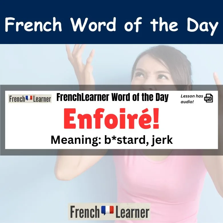 Enfoir&eacute; - B*stard, jerk in French