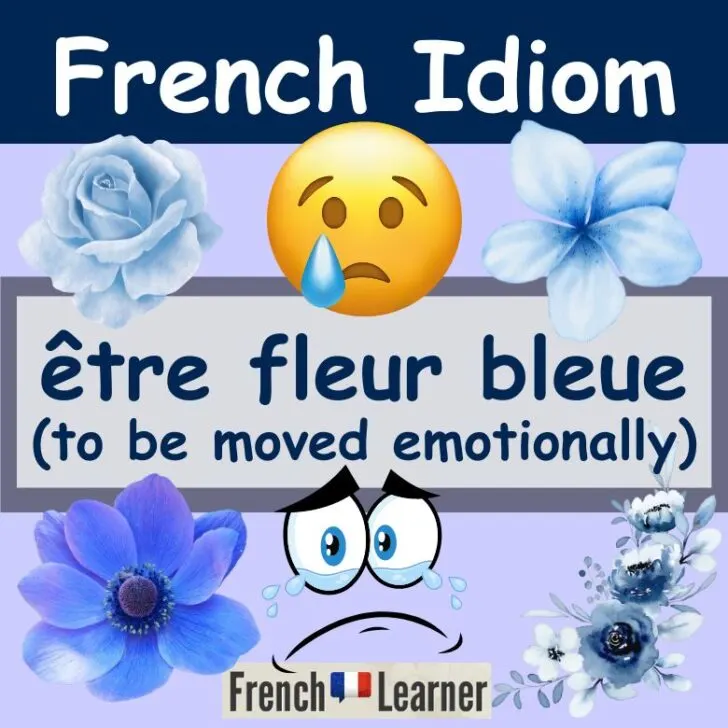 &Ecirc;tre fleur bleue (Moved emotionally, sentimental)