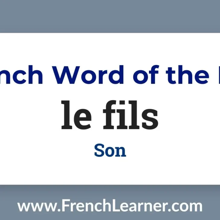 Le fils (Son)