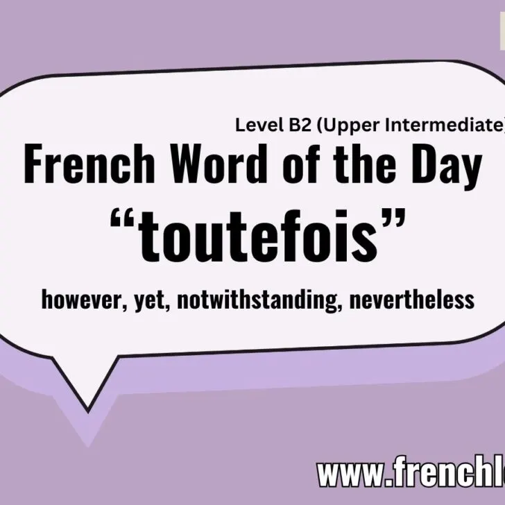 French Word of the Day &ndash; Toutefois (However)