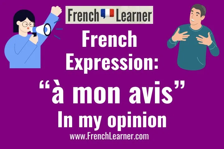 &Agrave; mon avis is French expression meaning "In my opinion".