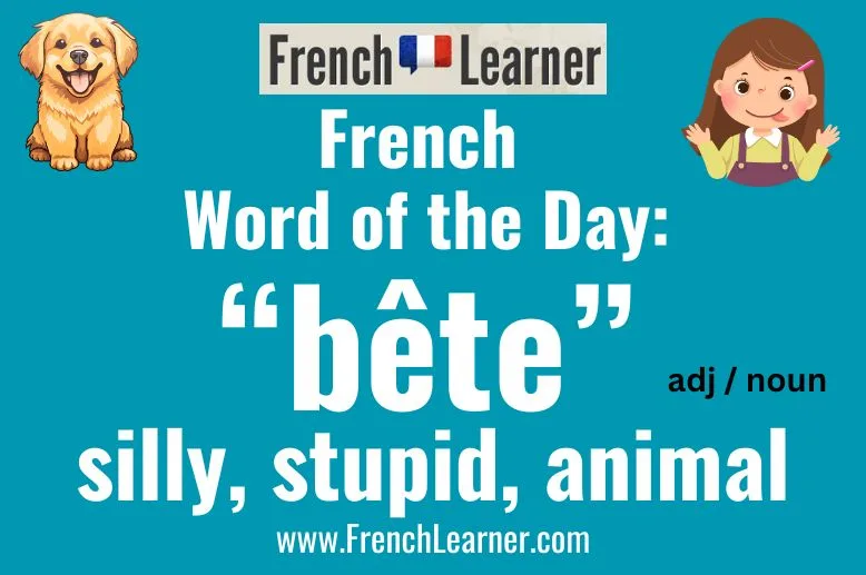 As an adjective, b&ecirc;te mean "stupid or "silly" in French. As a noun it can mean "animal".