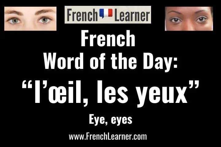 L&rsquo;&oelig;il and les yeux: eyes in French.
