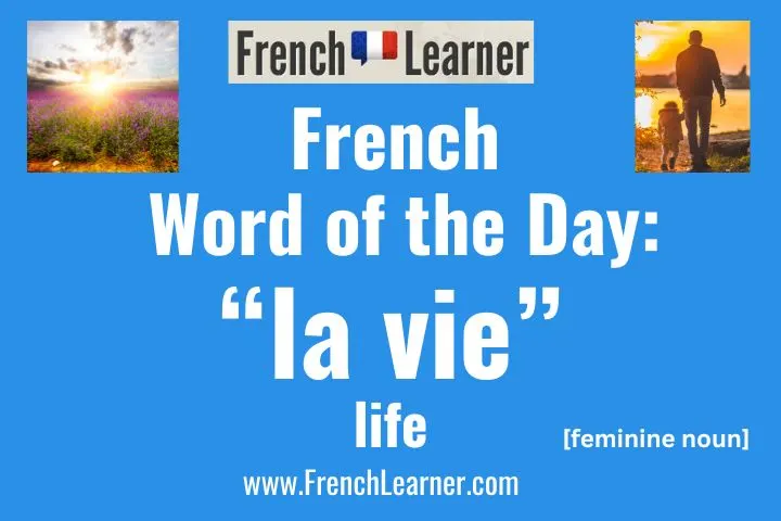 La vie is a French feminine noun meaning "life".