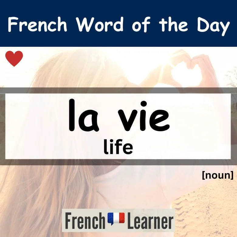 FrenchLearner Word of the Day lesson explaining the feminine noun "la vie" (life).