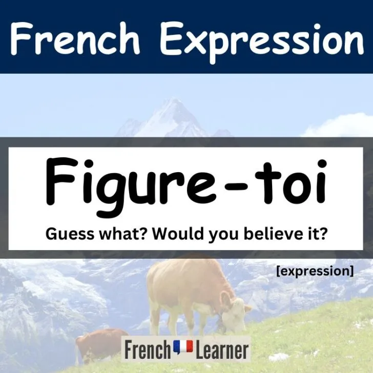 Figure-toi (Guess what? Would you believe it?)