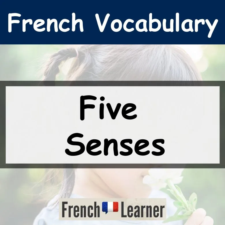 French five sesnes vocabulary