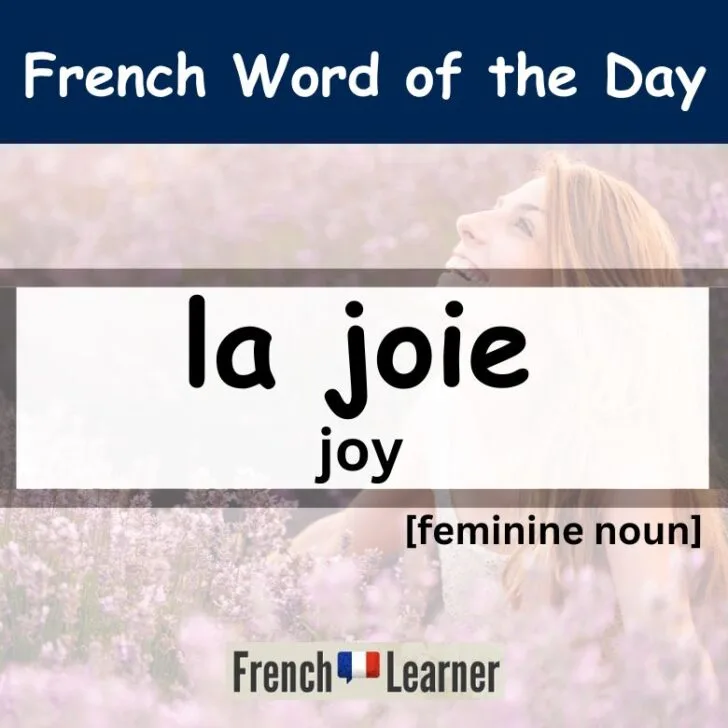 Joie &ndash; joy