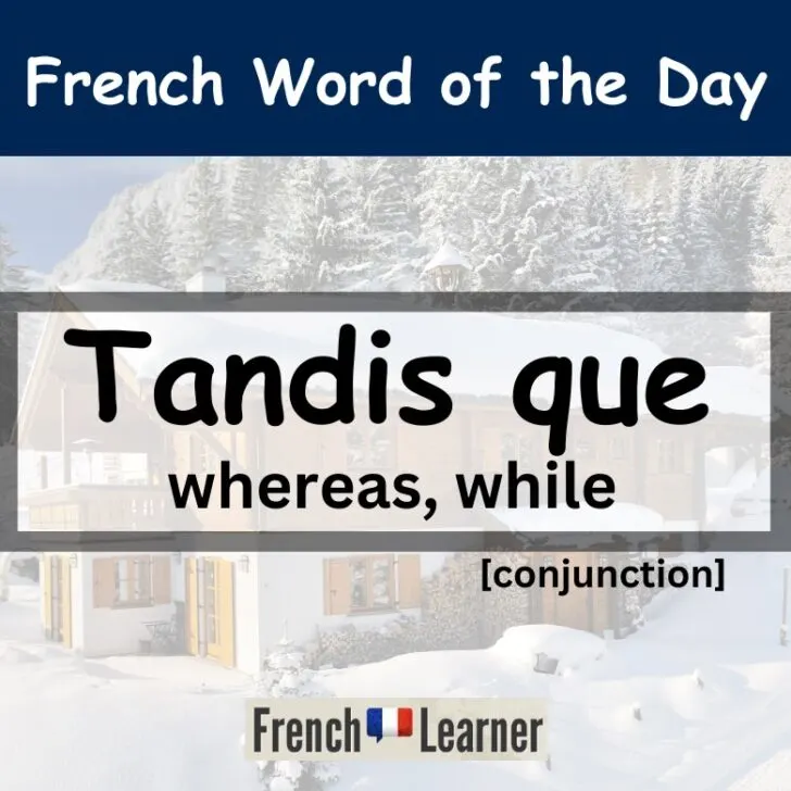 Tandis que &ndash; whereas, while