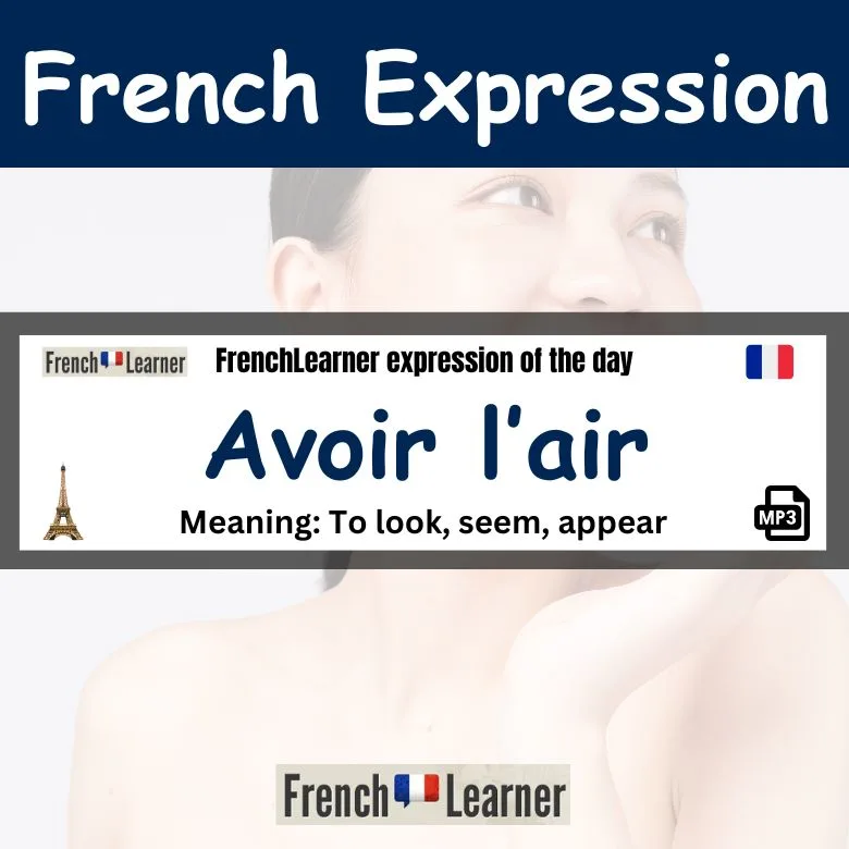 Avoir l'air - to look, seem, appear