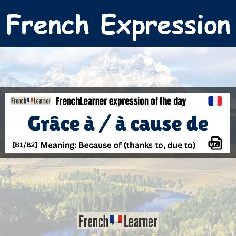 Gr&acirc;ce &agrave; vs. &agrave; cause de