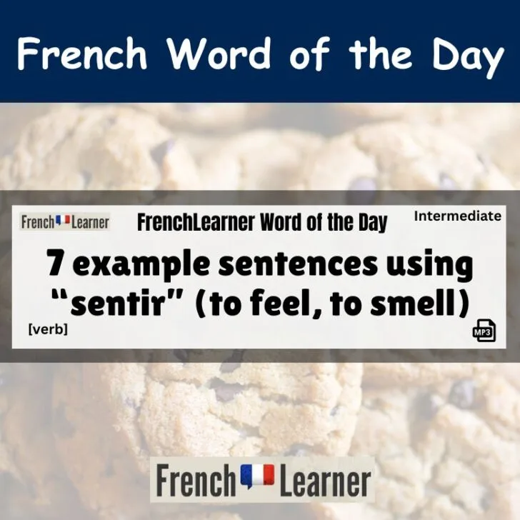 7 Example Sentences With Sentir (To feel, to smell)
