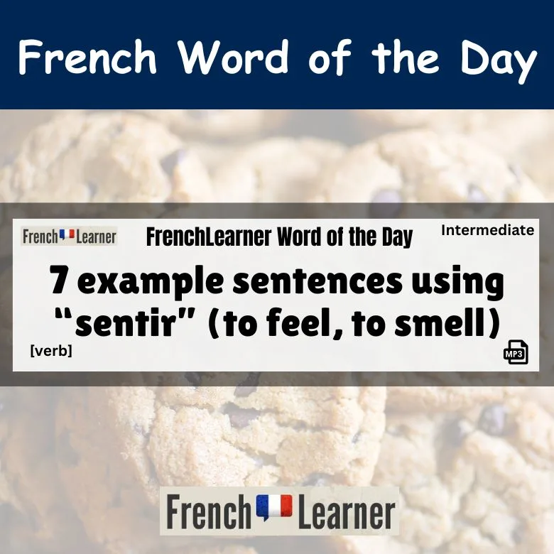 7 example sentences using &ldquo;sentir&rdquo; (to feel, to smell)
