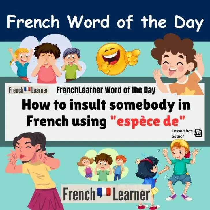 How to insult somebody in French using &ldquo;esp&egrave;ce de&rdquo;