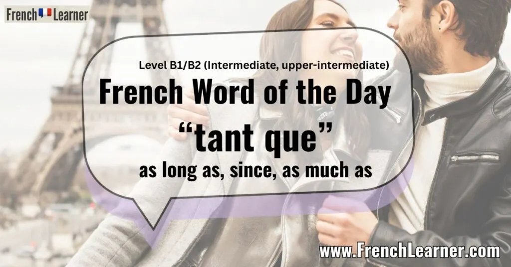 French Word of the Day &ldquo;tant que&rdquo; as long as, since, as much as