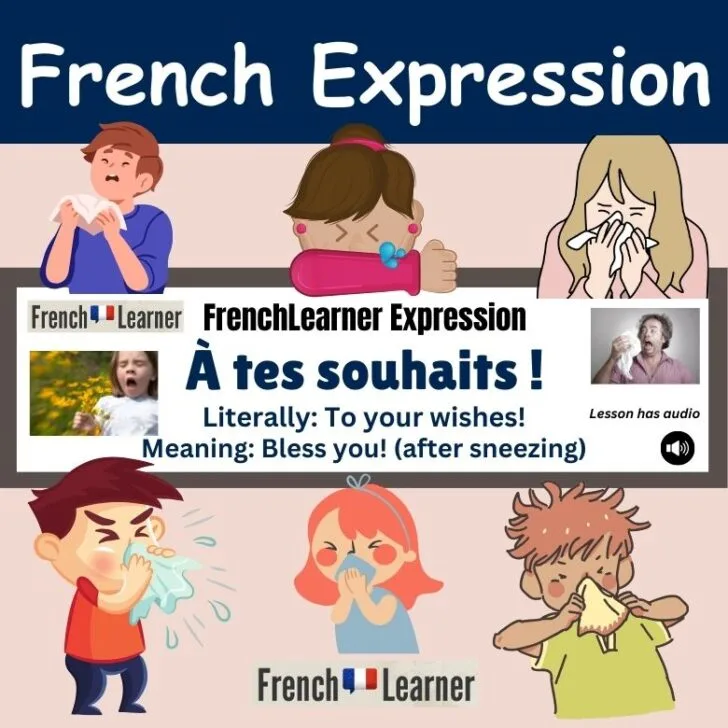 &Agrave; tes souhaits ! (Bless you!)
