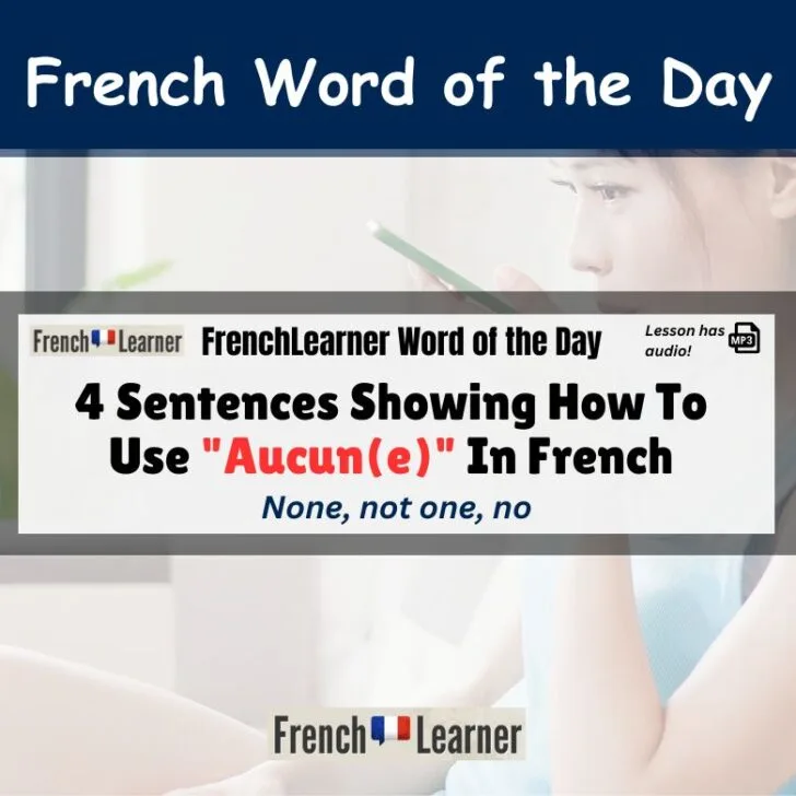 4 Sentences Showing How To Use &ldquo;Aucun&rdquo; In French