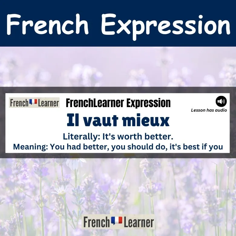 Il vaut mieux - You had better, you should do, it's best if you.