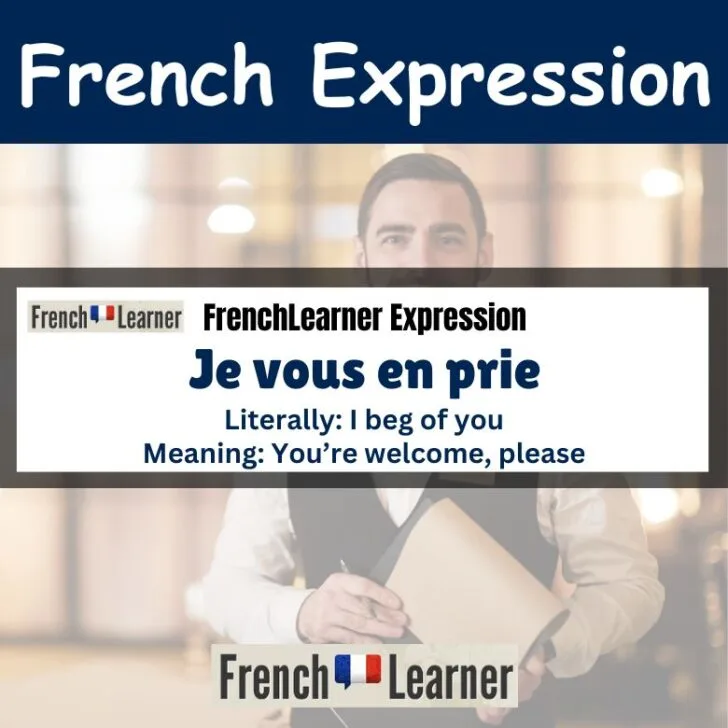 Je vous en prie (You&rsquo;re welcome, please)