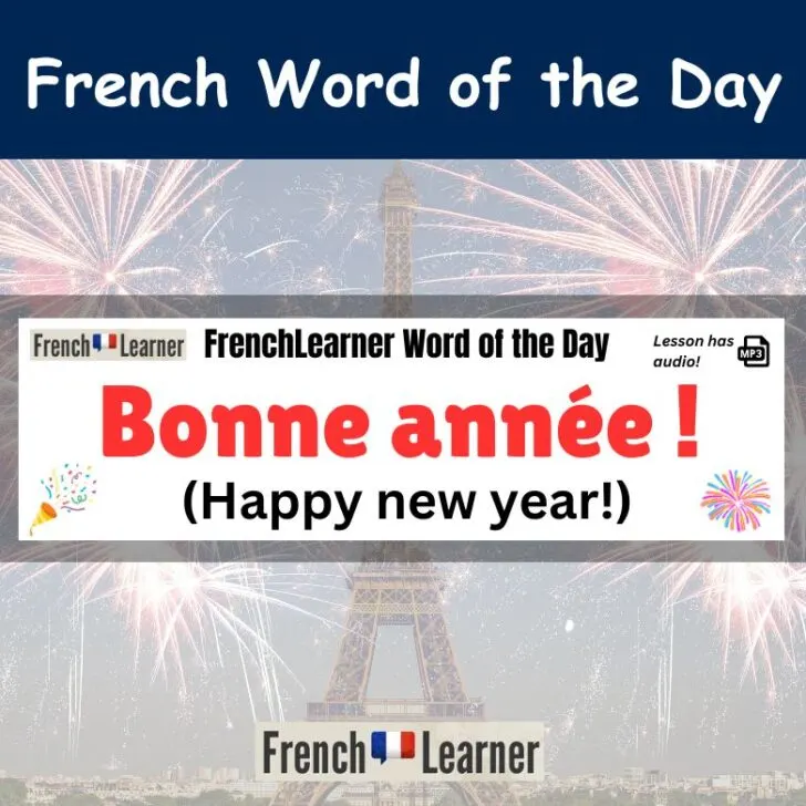 Bonne ann&eacute;e &ndash; Happy New Year In French