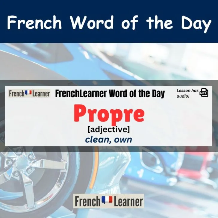 How To Use “Propre” In French