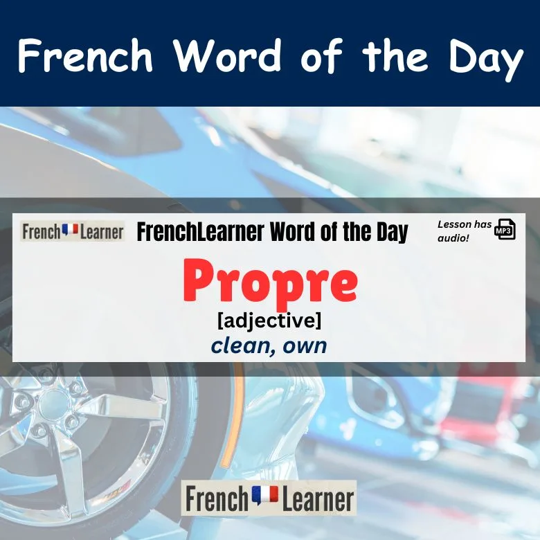 Propre (adjective) - Clean, own